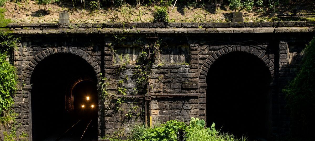 Fotografia com vista frontal das duas entradas de pedra escura dos Túneis 12 e 12 Bis em Mendes, com trilhos ferroviários e os faróis acesos de um trem surgindo no interior da galeria esquerda, cercada por vegetação verde na Serra do Mar.
