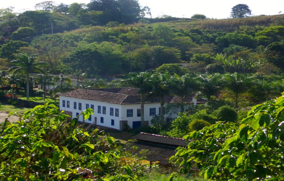 Fotografia aérea parcial de um casarão colonial branco com janelas de molduras azuis cercado por palmeiras imperiais e uma densa vegetação verde sob a luz do sol.