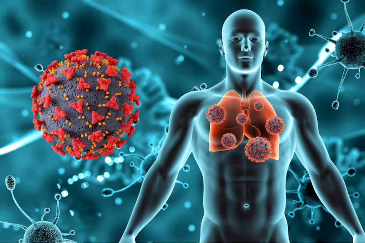 Como a Imunologia protege o corpo humano