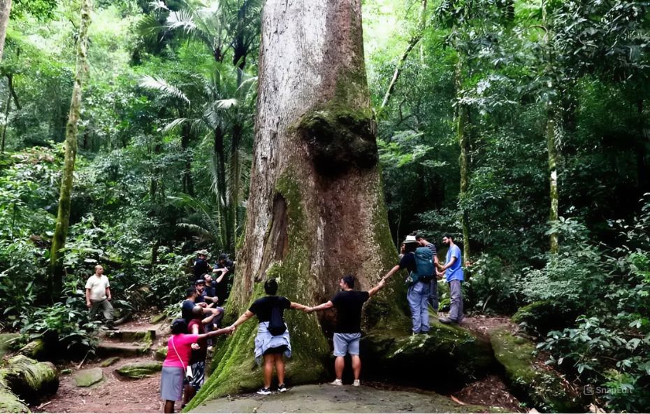 Qual é o lugar menos visitado de Mendes – RJ-01