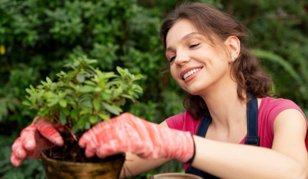 Curso de Jardinagem e Paisagismo