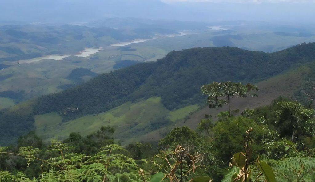 Por que o Vale do Paraíba se destacou na produção de café no Brasil