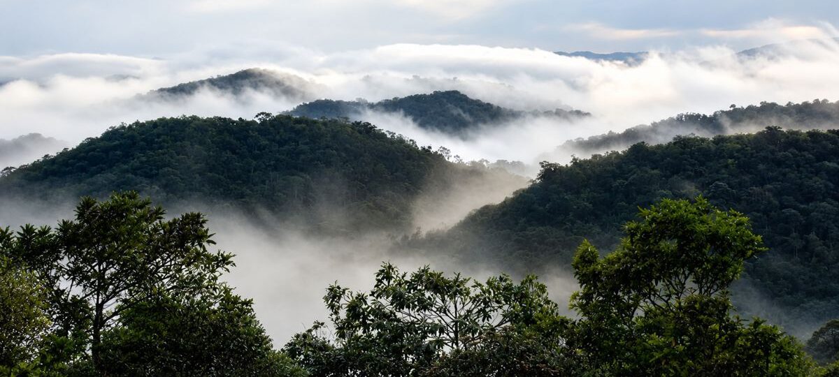 Montanhas cobertas por floresta densa de Mata Atlântica envoltas por neblina branca sob céu claro em Mendes, no Rio de Janeiro.