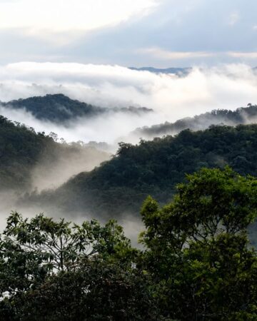 4° Clima do Mundo