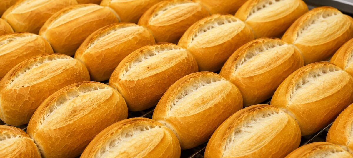 Vários pães franceses artesanais assados e alinhados em uma assadeira, exibindo casca dourada, crocante e pestana perfeita.