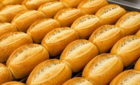Vários pães franceses artesanais assados e alinhados em uma assadeira, exibindo casca dourada, crocante e pestana perfeita.