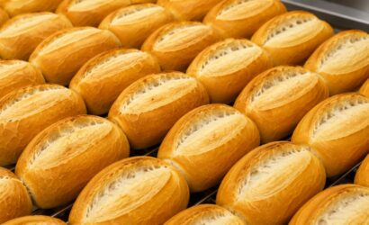 Vários pães franceses artesanais assados e alinhados em uma assadeira, exibindo casca dourada, crocante e pestana perfeita.