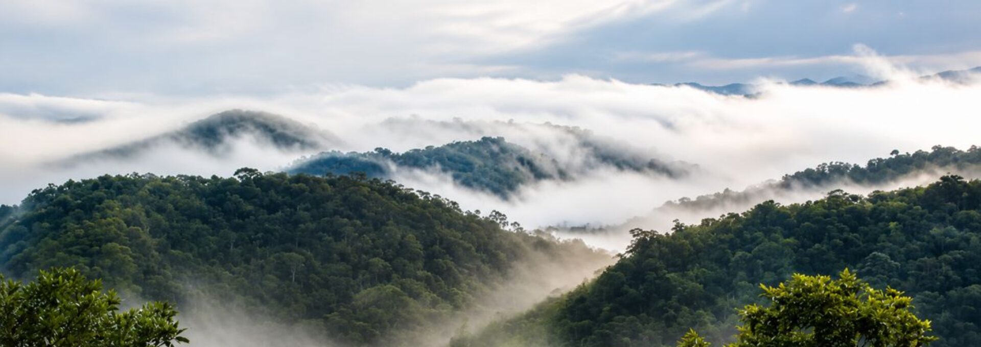 Mendes 4º Clima do Mundo - Nova