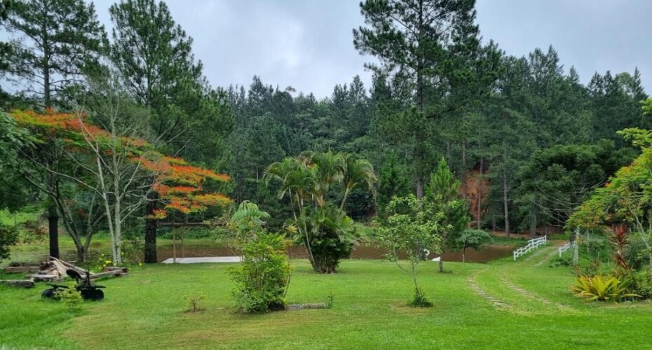 Condado Paraíso - 02 Condado Paraíso - 02