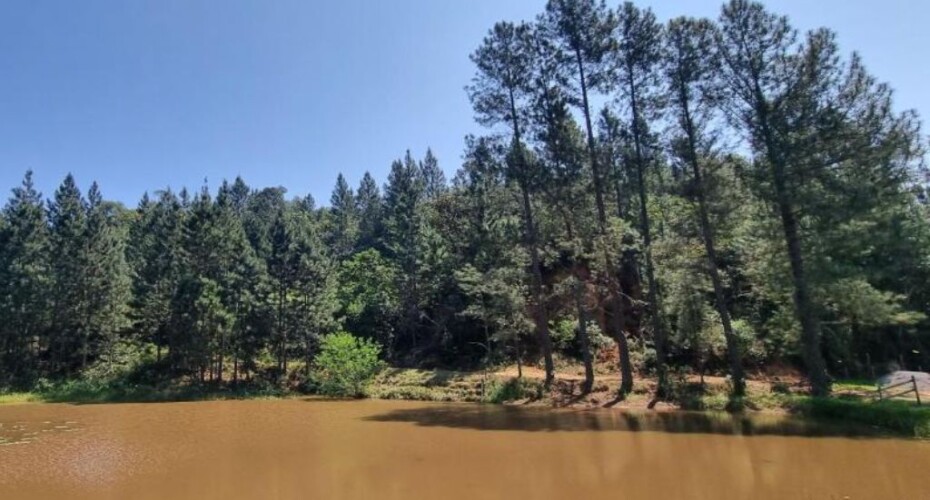 Condado Paraíso - 03 Condado Paraíso - 03