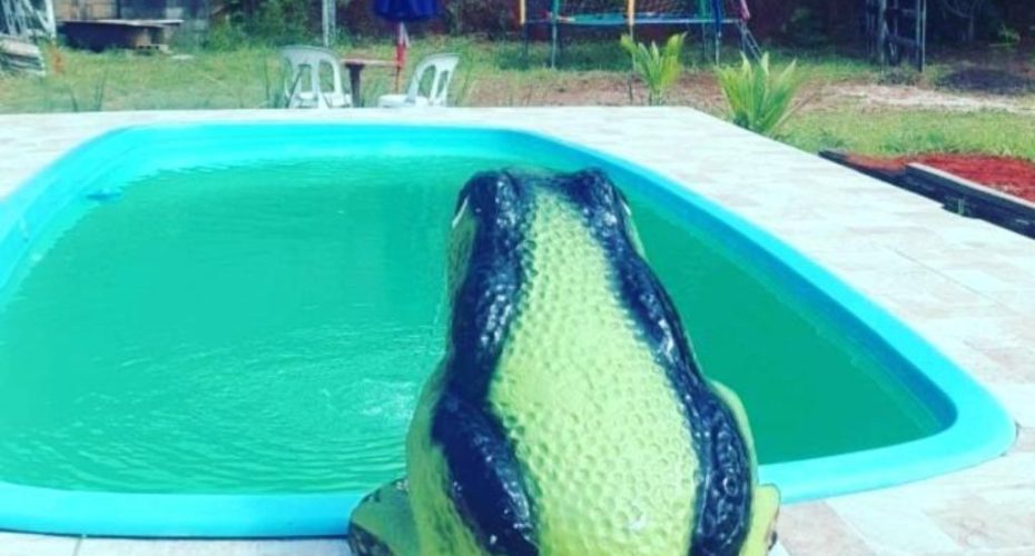 Fazenda Águas Claras - 03 Fazenda Águas Claras - 03