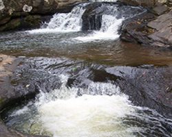 Cachoeira do Barreado Cachoeira do Barreado