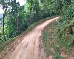 Caminho do Imperador - Paty do Alferes Caminho do Imperador - Paty do Alferes