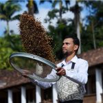 Fazenda Aliança - G13 Fazenda Aliança - G13