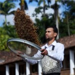 Fazenda Aliança - G13 Fazenda Aliança - G13