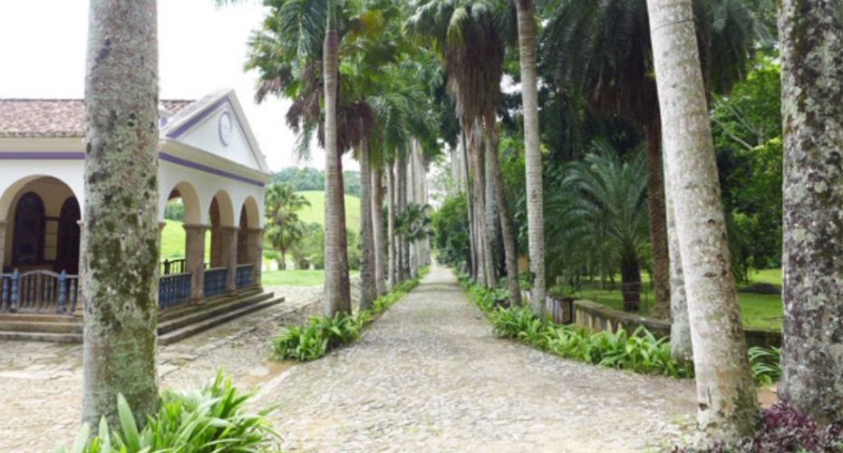 Fazenda Alliança - Foto 05 Fazenda Alliança - Foto 05