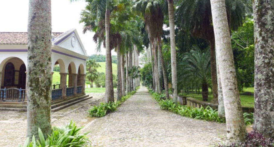 Fazenda Alliança - Foto 05 Fazenda Alliança - Foto 05