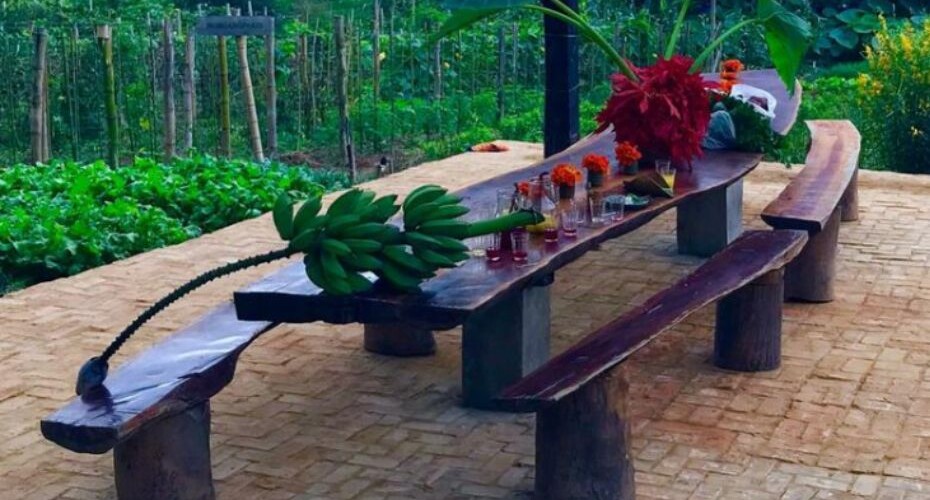 Fazenda Alliança - Foto 10 Fazenda Alliança - Foto 10