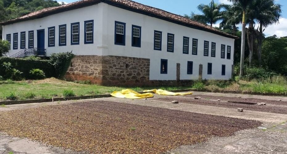 Fazenda da Taquara - 11 Fazenda da Taquara - 11