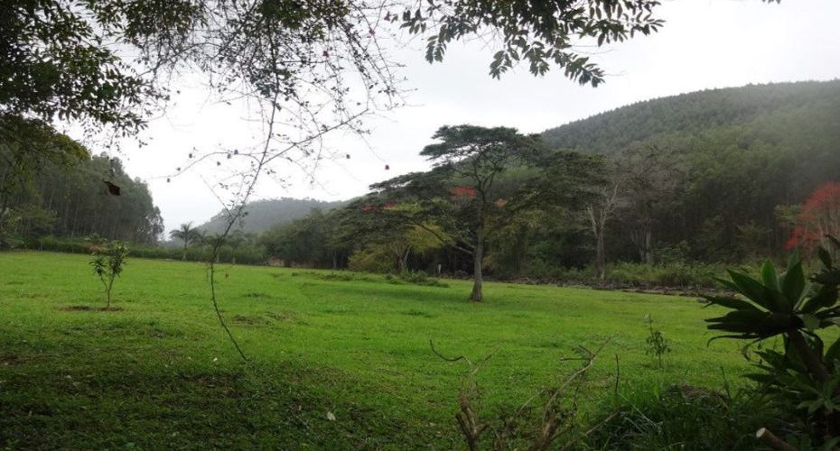 Fazenda São João da Prosperidade - 06Fazenda São João da Prosperidade - 06 Fazenda São João da Prosperidade - 06