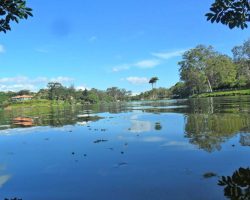 Lago do Javary - Miguel Pereira Lago do Javary - Miguel Pereira