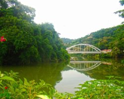 Parque Natural Mata do Amador - Piraí Parque Natural Mata do Amador - Piraí