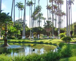 Praça Marquês de São João Marcos - Paraiba do Sul Praça Marquês de São João Marcos - Paraiba do Sul